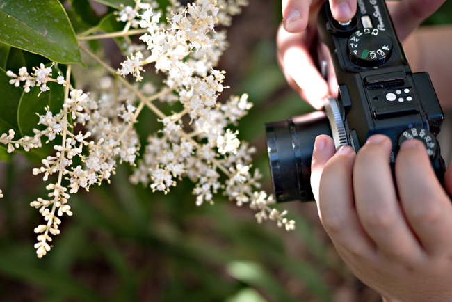¿Podemos hacer que a nuestros hijos les guste la fotografía?