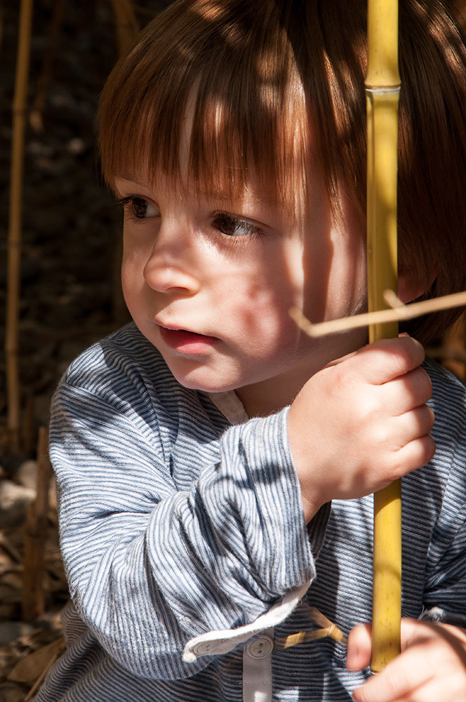 reportaje infantil david Reportaje infantil David