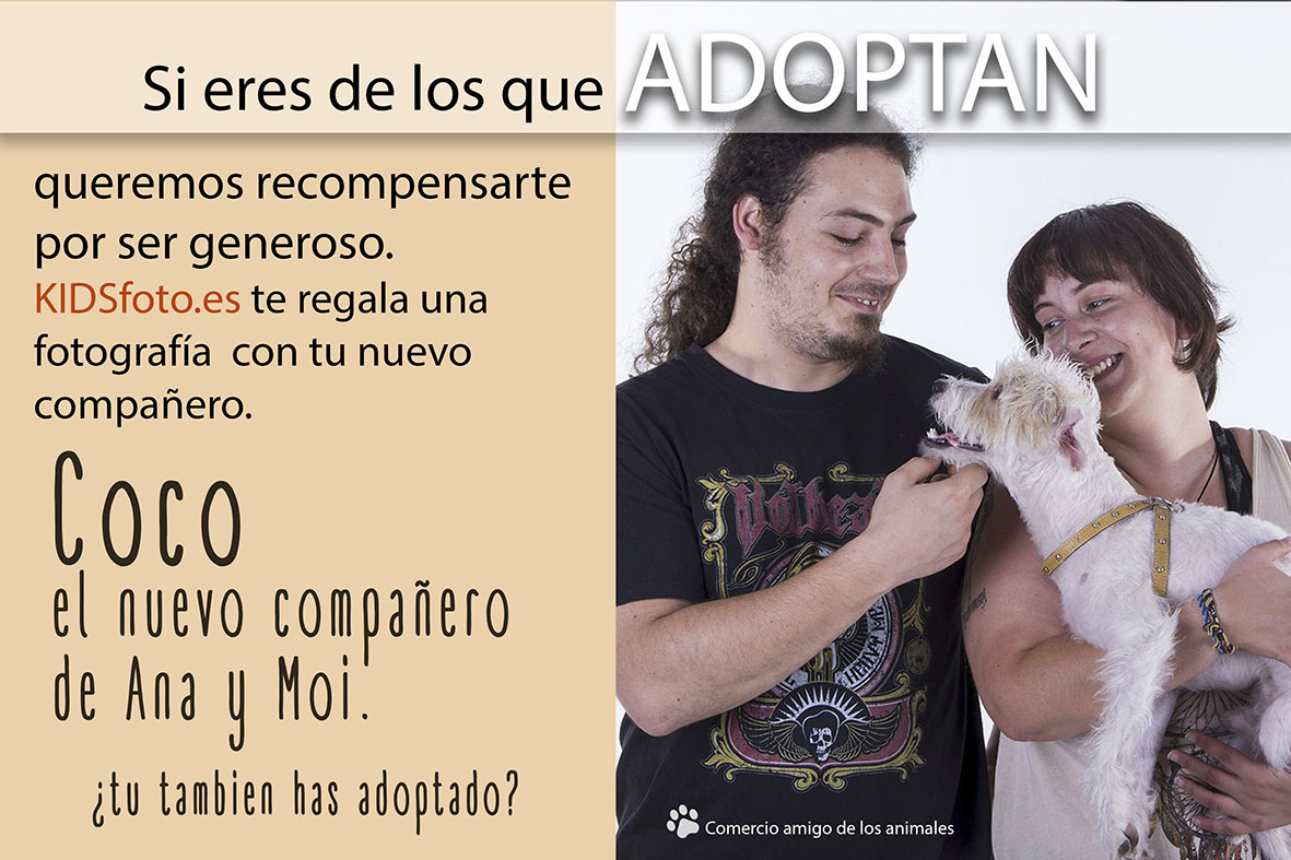 Coco.- Perro adoptado en Zaragoza