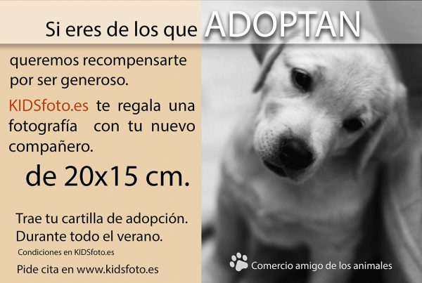 fotografo amigo de los animales en zaragoza Fotógrafo Amigo de los animales en Zaragoza