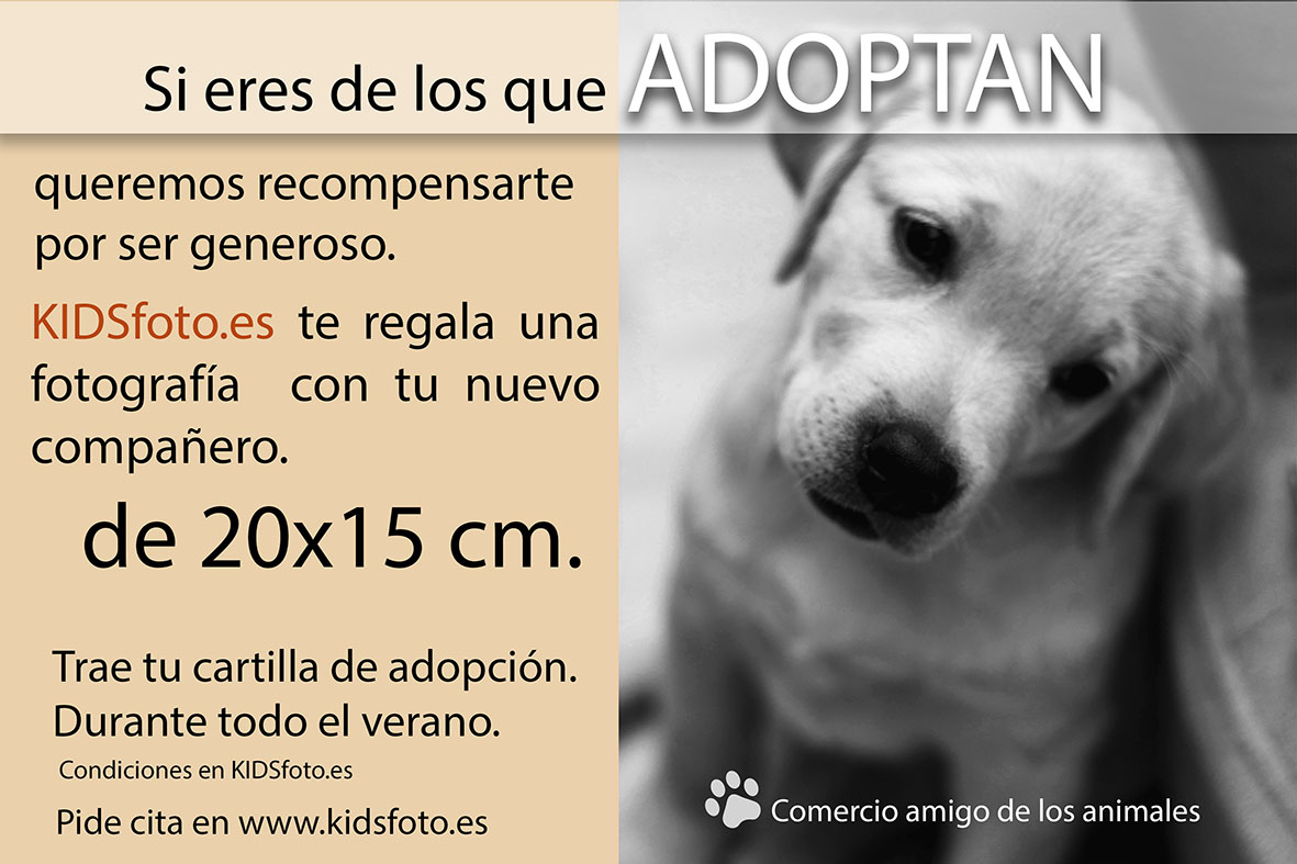 fotografo amigo de los animales en zaragoza Fotógrafo Amigo de los animales en Zaragoza