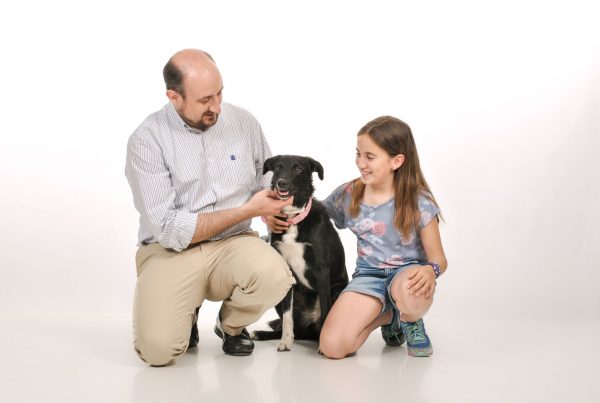 mini sesion fotografica con mascota zaragoza Mini sesión fotográfica con mascota, Zaragoza