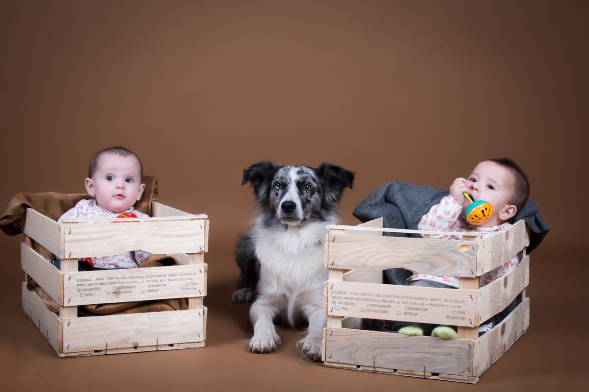 sesion fotografica infantil mellizos fotografia bebe Sesión fotográfica infantil, mellizos. Fotografía bebé.