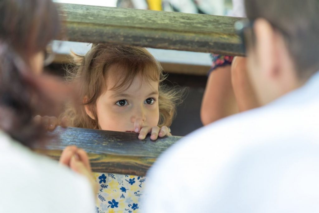 reportaje familiar en zaragoza plaza los sitios 11
