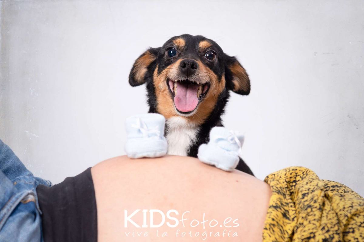 Fotografía de Mascotas.- Referente en Zaragoza