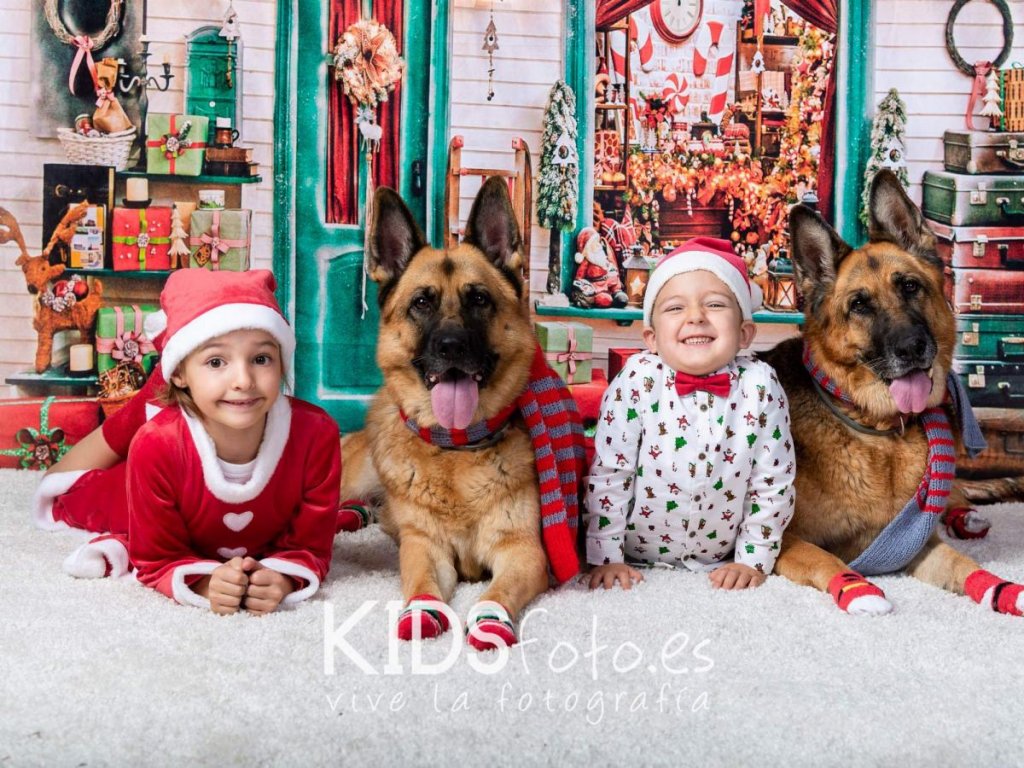 fotografia navidad con mascotas y ninos fotografo infantil y Fotografía navidad Con mascotas y niños. Fotógrafo infantil