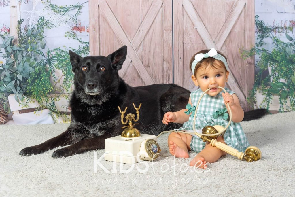 sesion primer ano con bebe y mascota en estudio. fotografia de mascotas y ninos en zaragoza 04