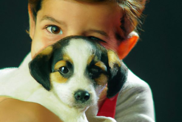 sesion de fotos con tu mascota en zaragoza captura momentos ¡Bienvenidos a Fotografiamos Mascotas con sus Familias, nues