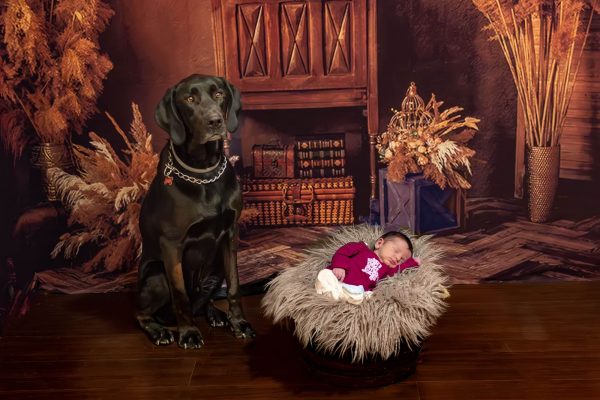 sesiones fotograficas de mascotas con ninos captura momentos Sesiones fotográficas de mascotas con niños: ¡Captura momen