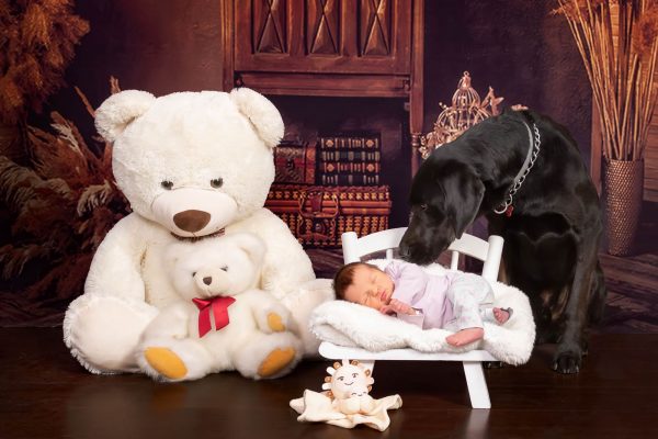 sesiones fotograficas de mascotas con ninos captura momentos Sesiones fotográficas de mascotas con niños: ¡Captura momen