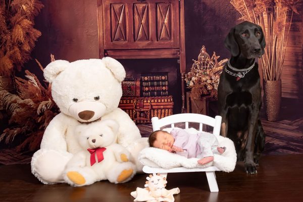 sesiones fotograficas de mascotas con ninos captura momentos Sesiones fotográficas de mascotas con niños: ¡Captura momen