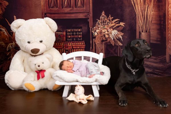 sesiones fotograficas de mascotas con ninos captura momentos Sesiones fotográficas de mascotas con niños: ¡Captura momen