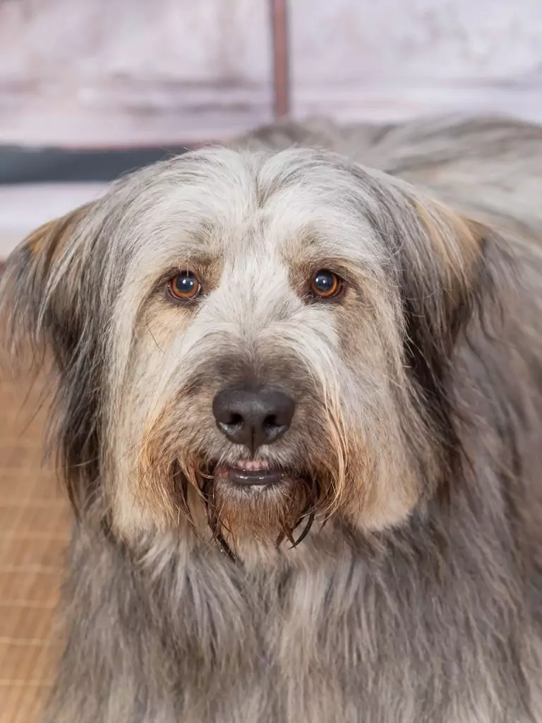 DSC 1654 NIKON CORPORATION NIKON D610 6080x4028 1