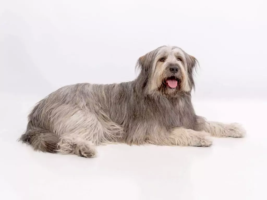 DSC 1665 NIKON CORPORATION NIKON D610 6080x4028 1