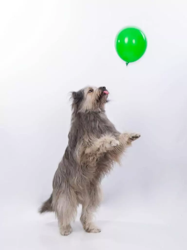 DSC 1688 NIKON CORPORATION NIKON D610 6080x4028 1