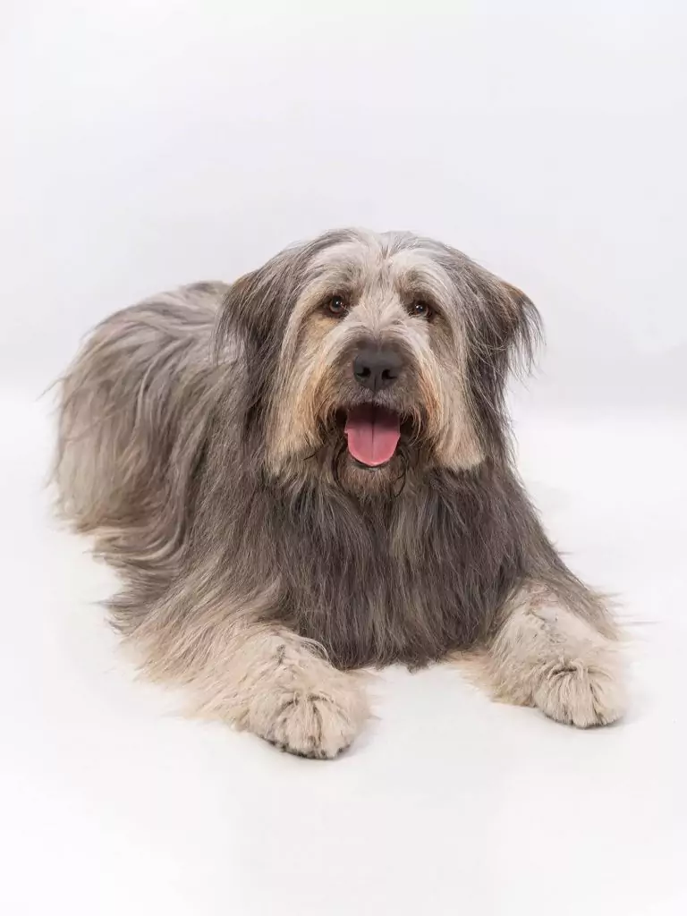 DSC 1697 NIKON CORPORATION NIKON D610 6080x4028 1