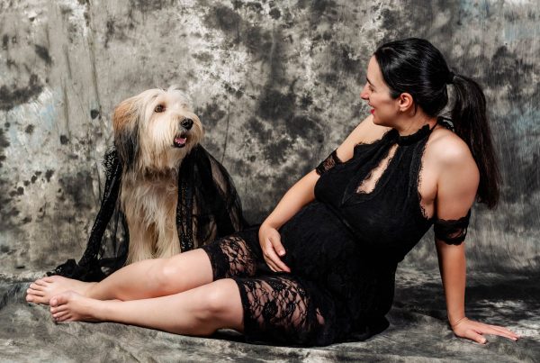 las mascotas tambien son bienvenidas en tus fotos de embaraz ¡Las mascotas también son bienvenidas en tus fotos de embar