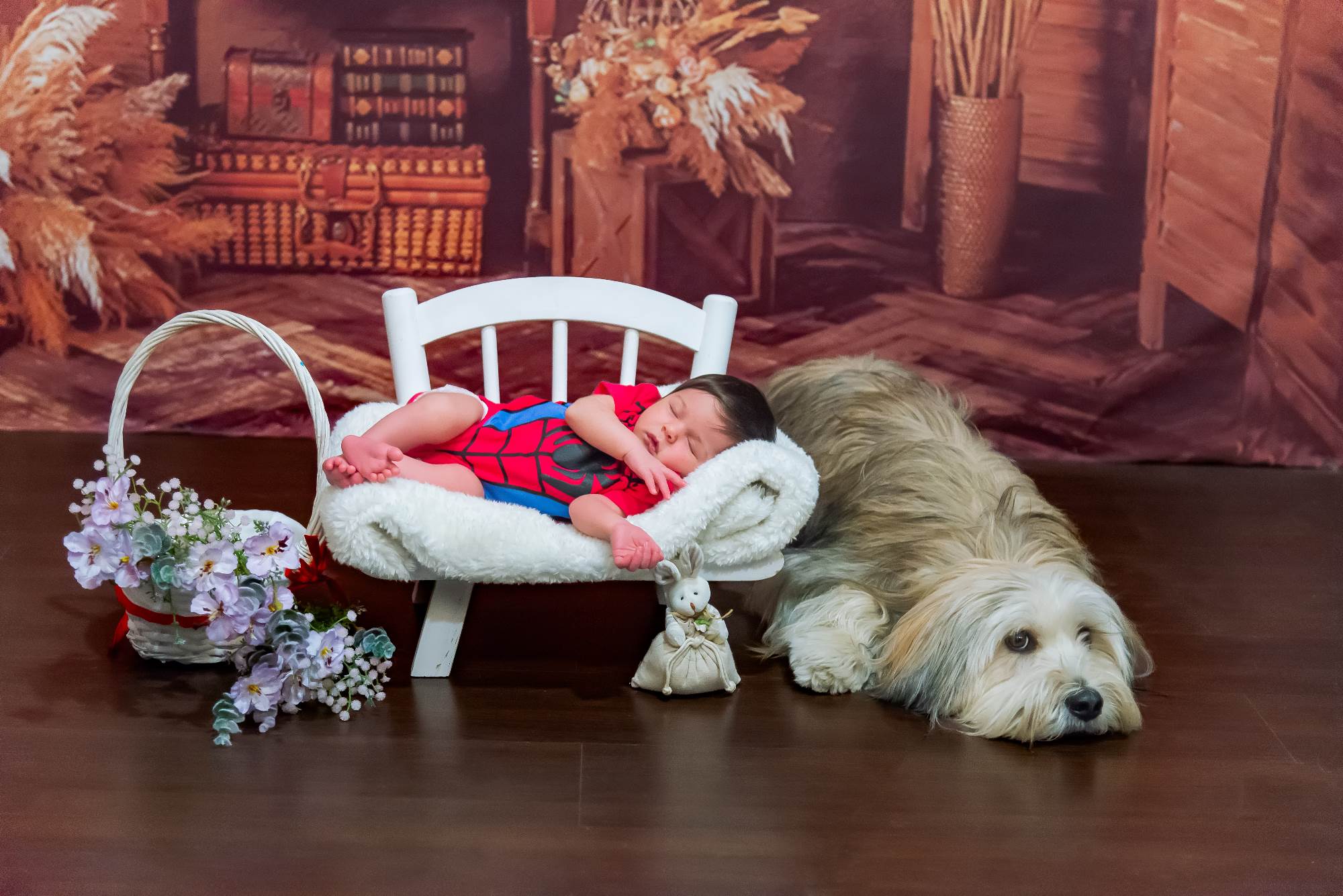 las mascotas tambien son bienvenidas en tus fotos de embaraz ¡Las mascotas también son bienvenidas en tus fotos de embar