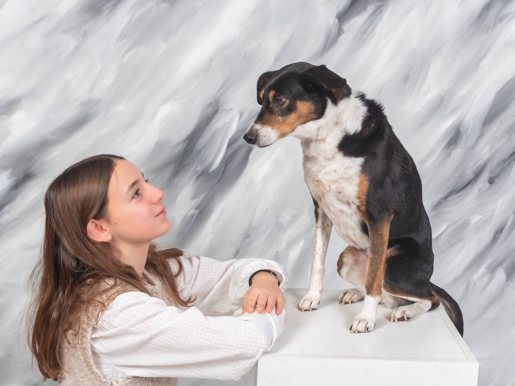 Fotógrafo de mascotas Zaragoza Manolo García