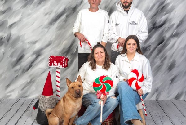 estudio fotografico pet friendly en zaragoza fotos naturales Estudio fotográfico pet-friendly en Zaragoza: Fotos natural